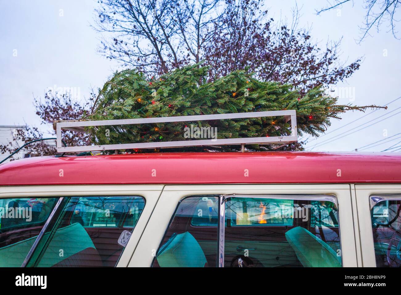 USA, Maine, Kennebunkport, antique car with Chrstmas tree Stock Photo