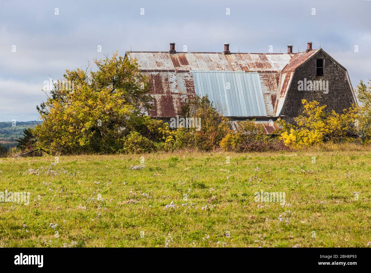 Canada, New Brunswick, Kennebecasis River Valley, Cornhill, abandoned barn Stock Photo