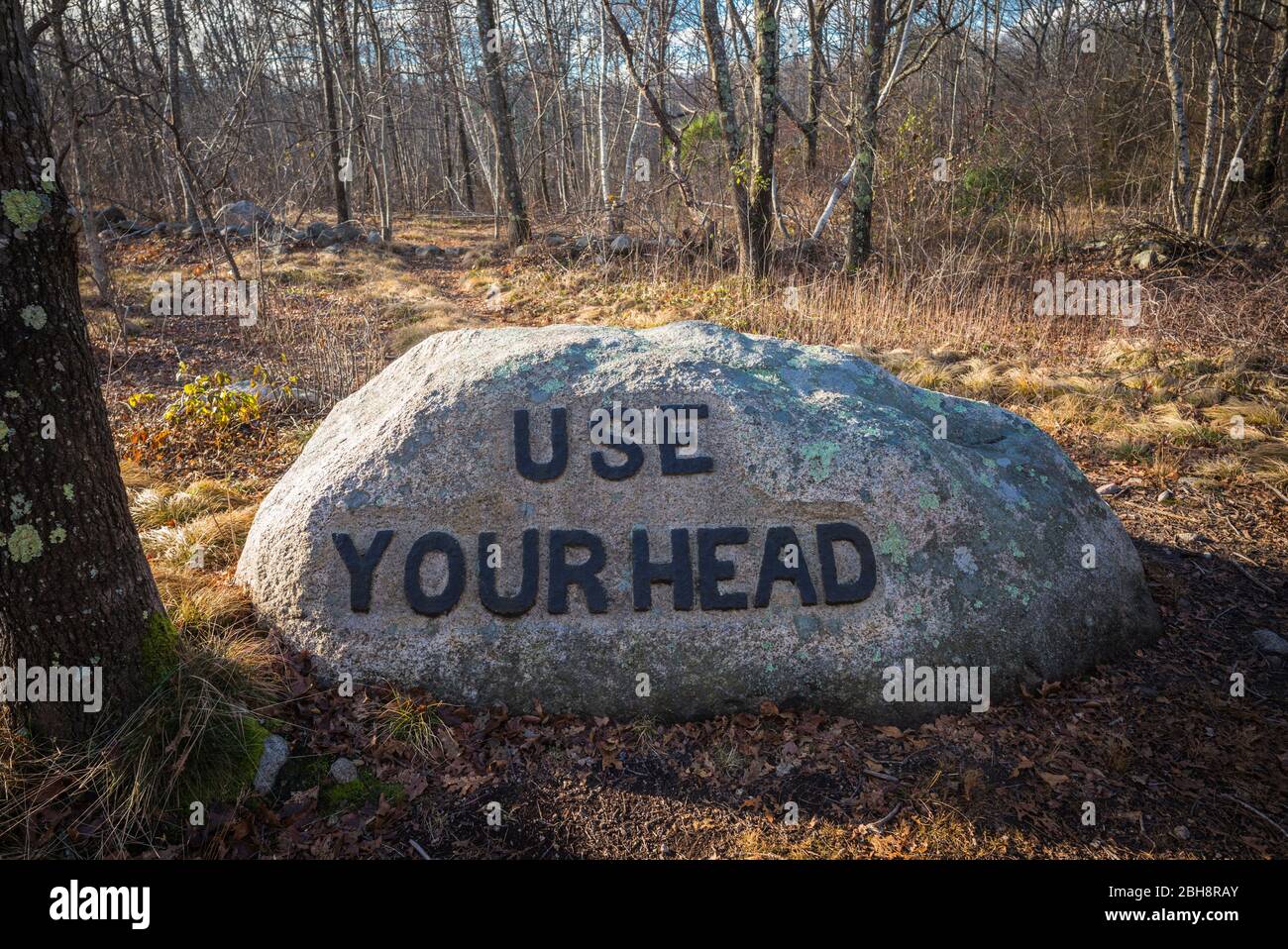 USA, New England, Massachusetts, Cape Ann, Gloucester, Dogtown Rocks ...