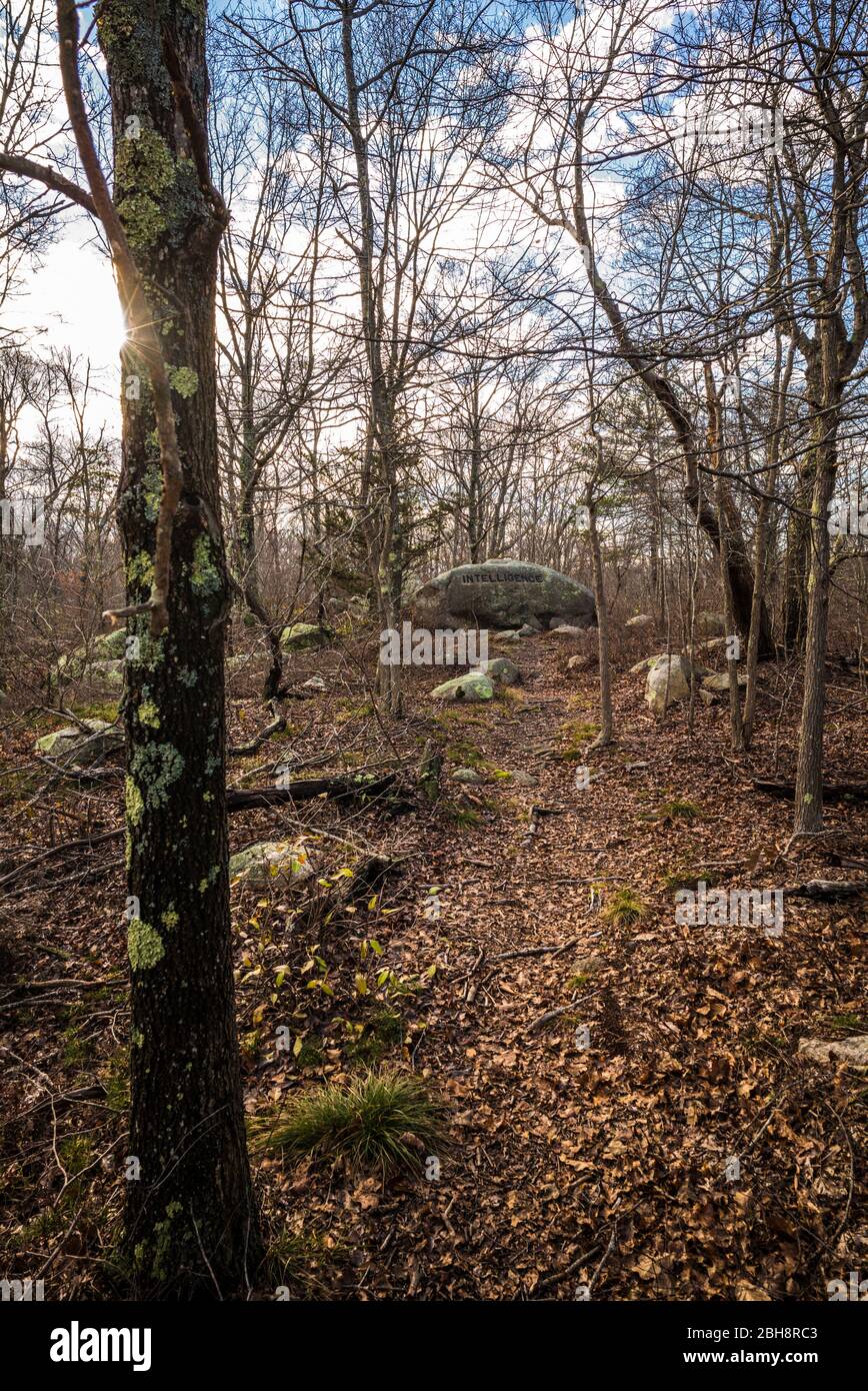 Dogtown rocks hi-res stock photography and images - Alamy