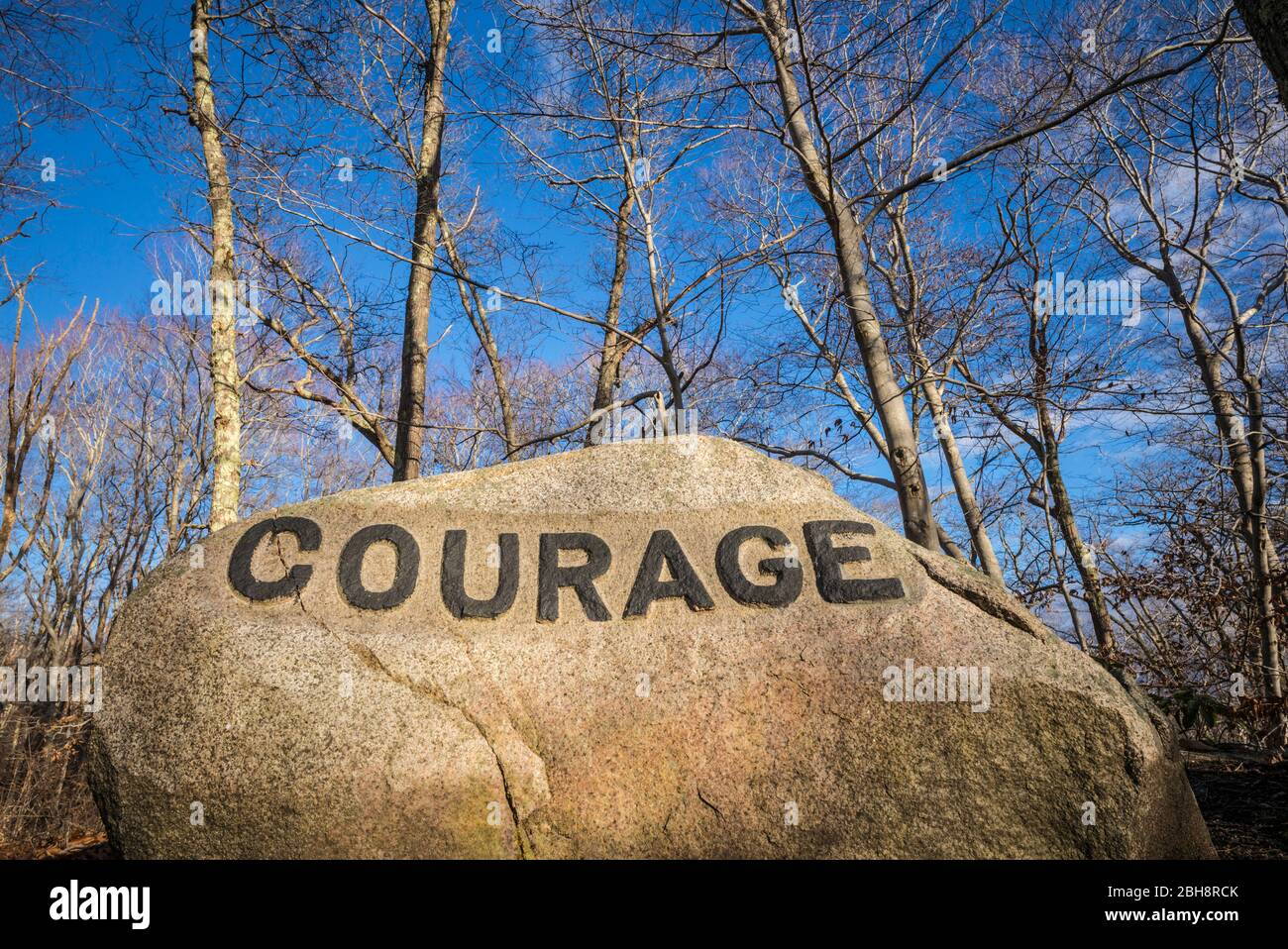 USA, New England, Massachusetts, Cape Ann, Gloucester, Dogtown Rocks ...