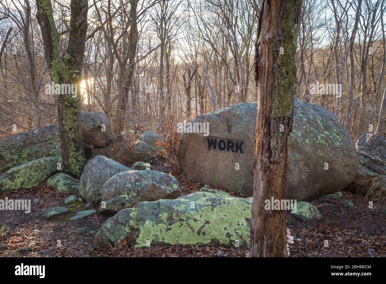 USA, New England, Massachusetts, Cape Ann, Gloucester, Dogtown Rocks ...