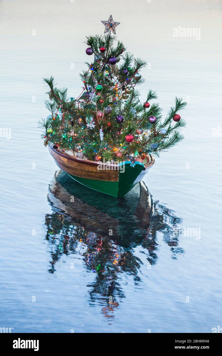 Marina Christmas stock photo. Image of marina, massachusetts