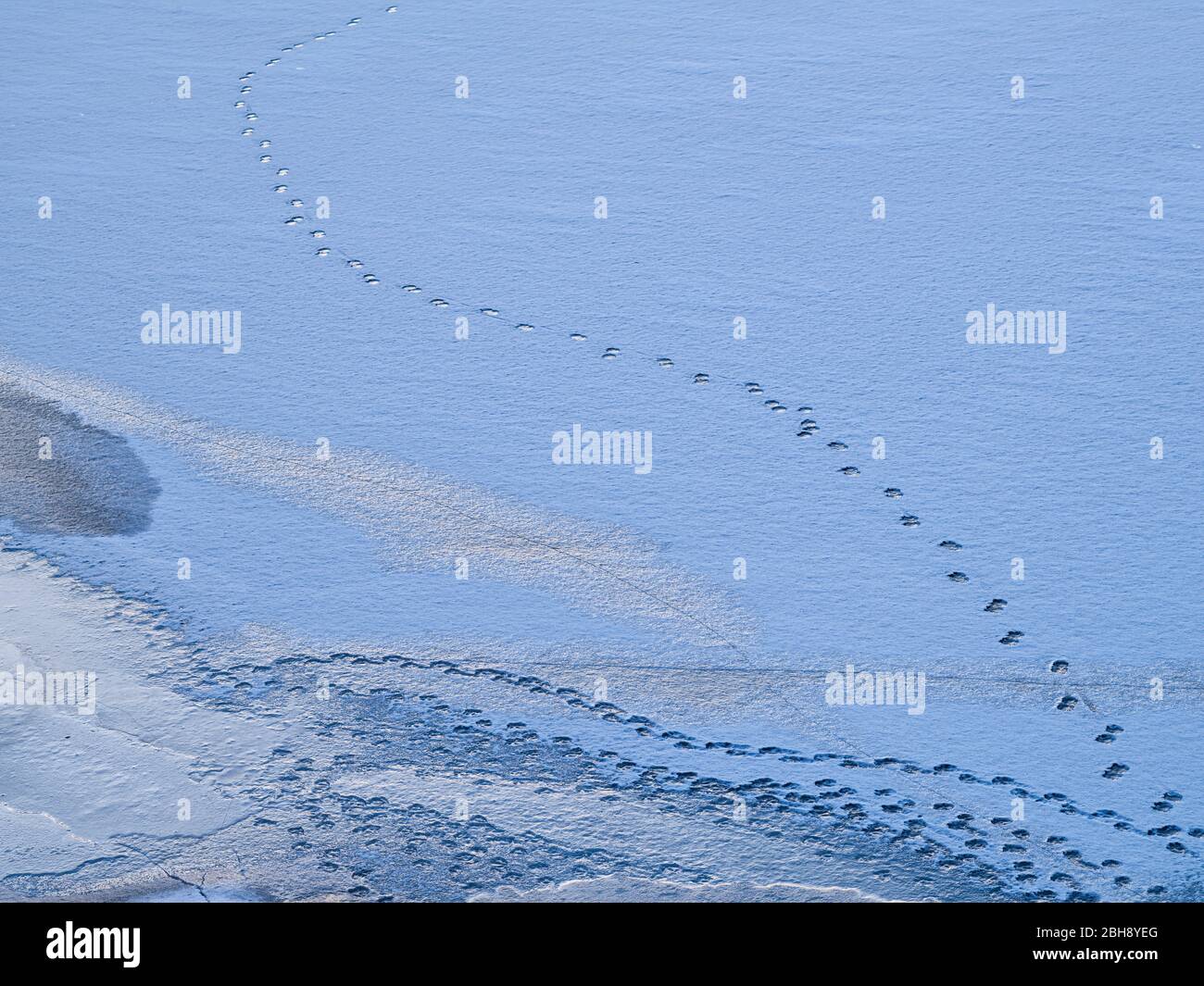 Europa, Deutschland, Hessen, Vöhl, Nationalpark Kellerwald-Edersee, Winterstimmung, Eisformation, Eisstruktur auf dem Edersee, Tierspur Stock Photo