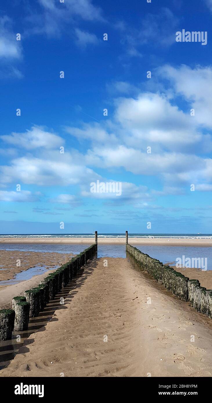 Buhnen in Holland mit Blick auf das Meer Stock Photo