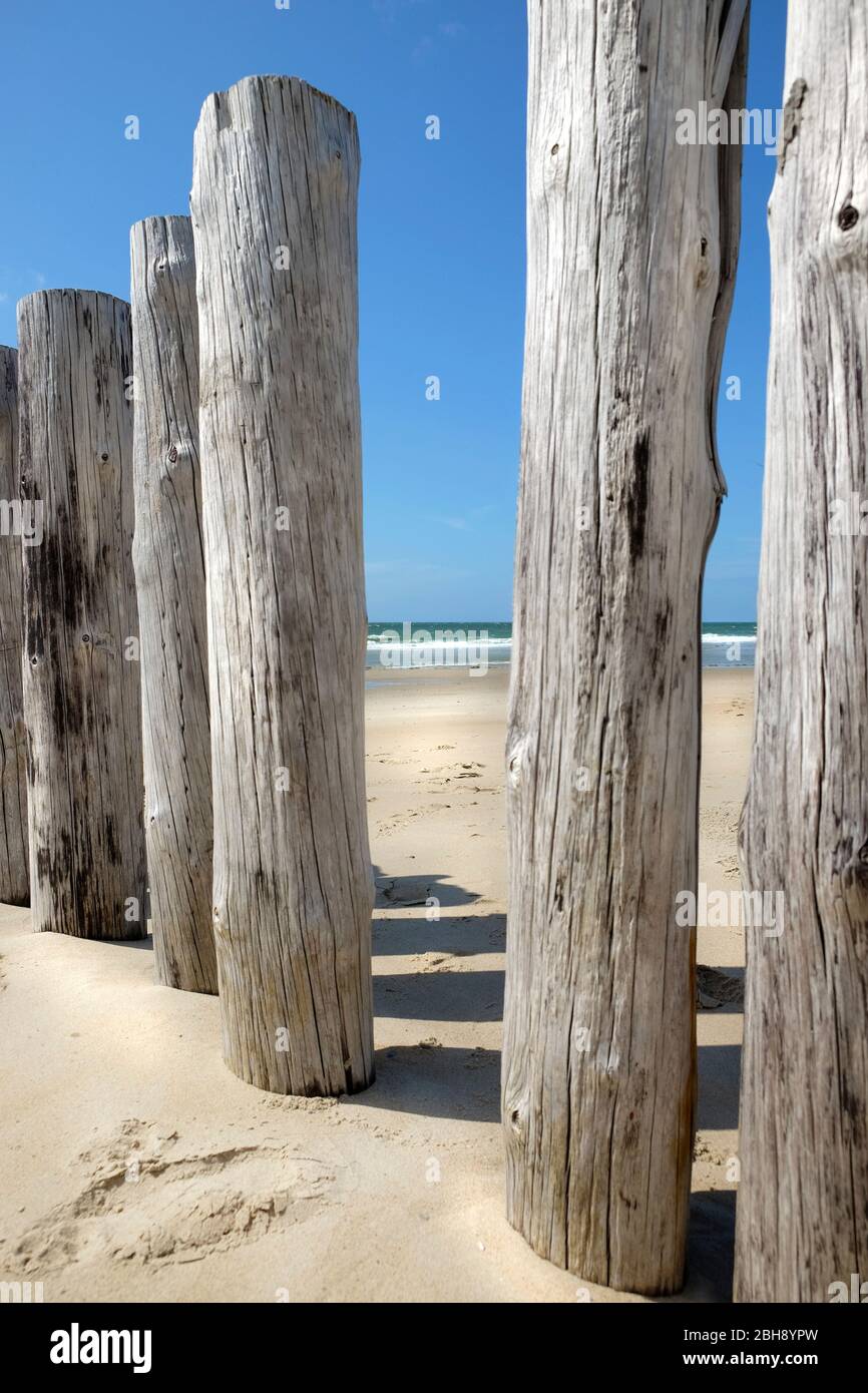 Holzpfähle in Holland mit Blick auf das Meer Stock Photo