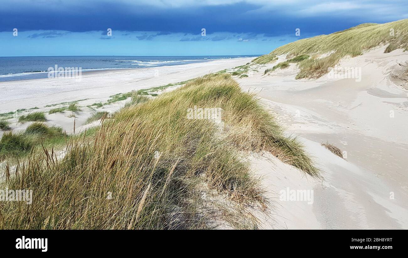 Dünenlandschaft in Holland mit Blick auf das Meer Stock Photo