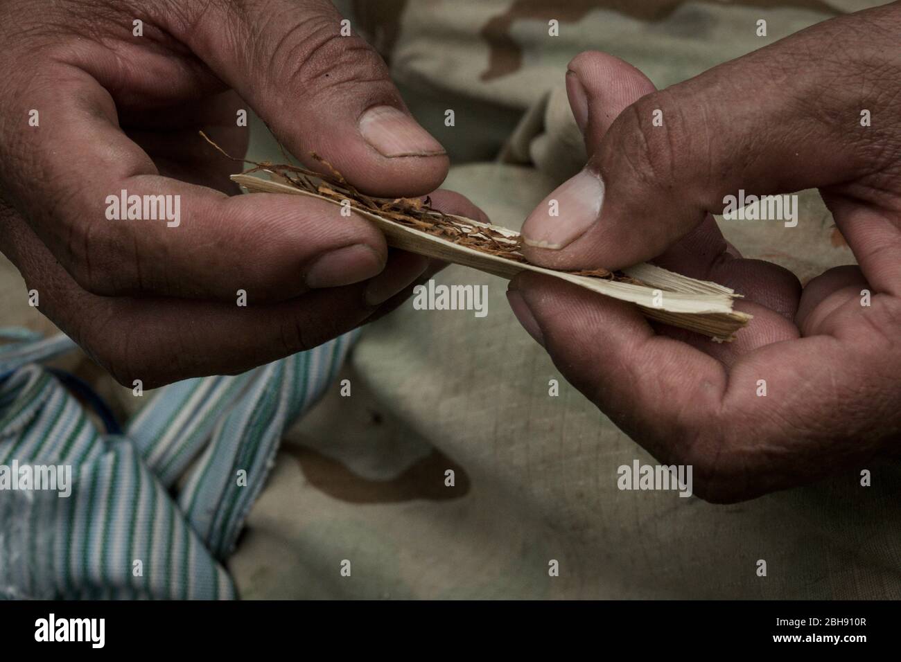 Thai is turning thai cigarette in the jungle Stock Photo