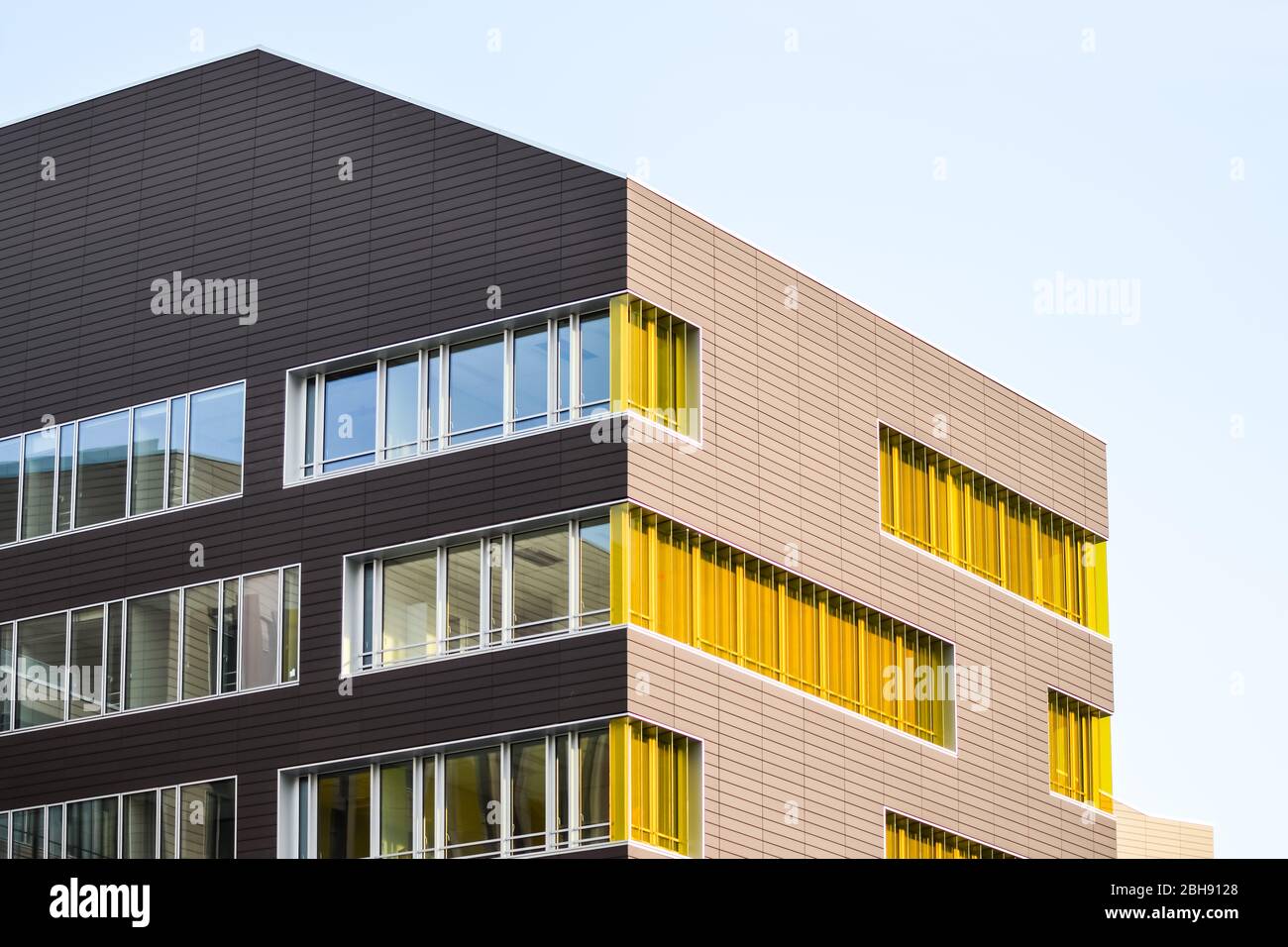 Yellow Rectangles Windows Colorful yellow windows in a modern architecture building. Windows ...