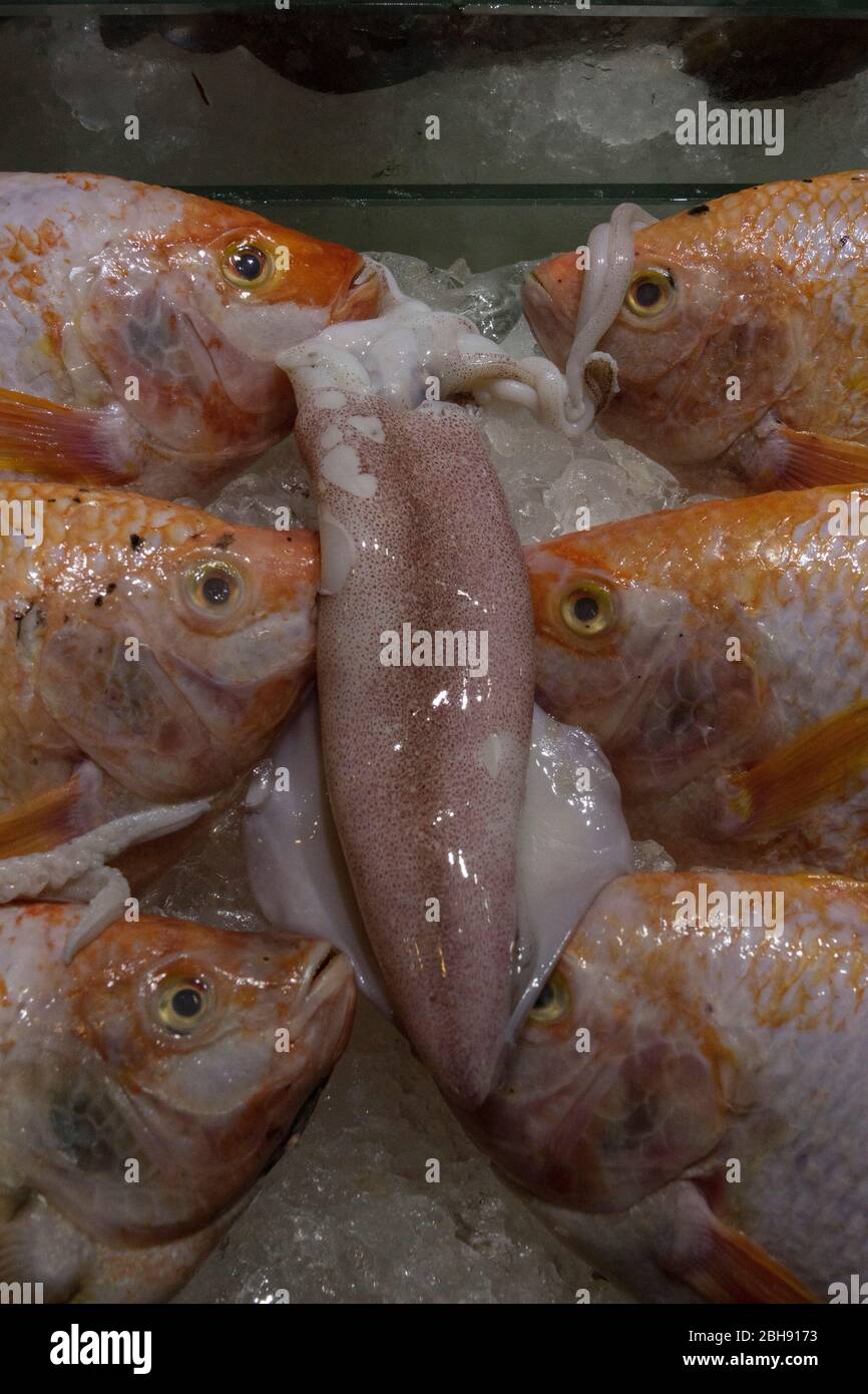 Frozen food display hires stock photography and images Alamy