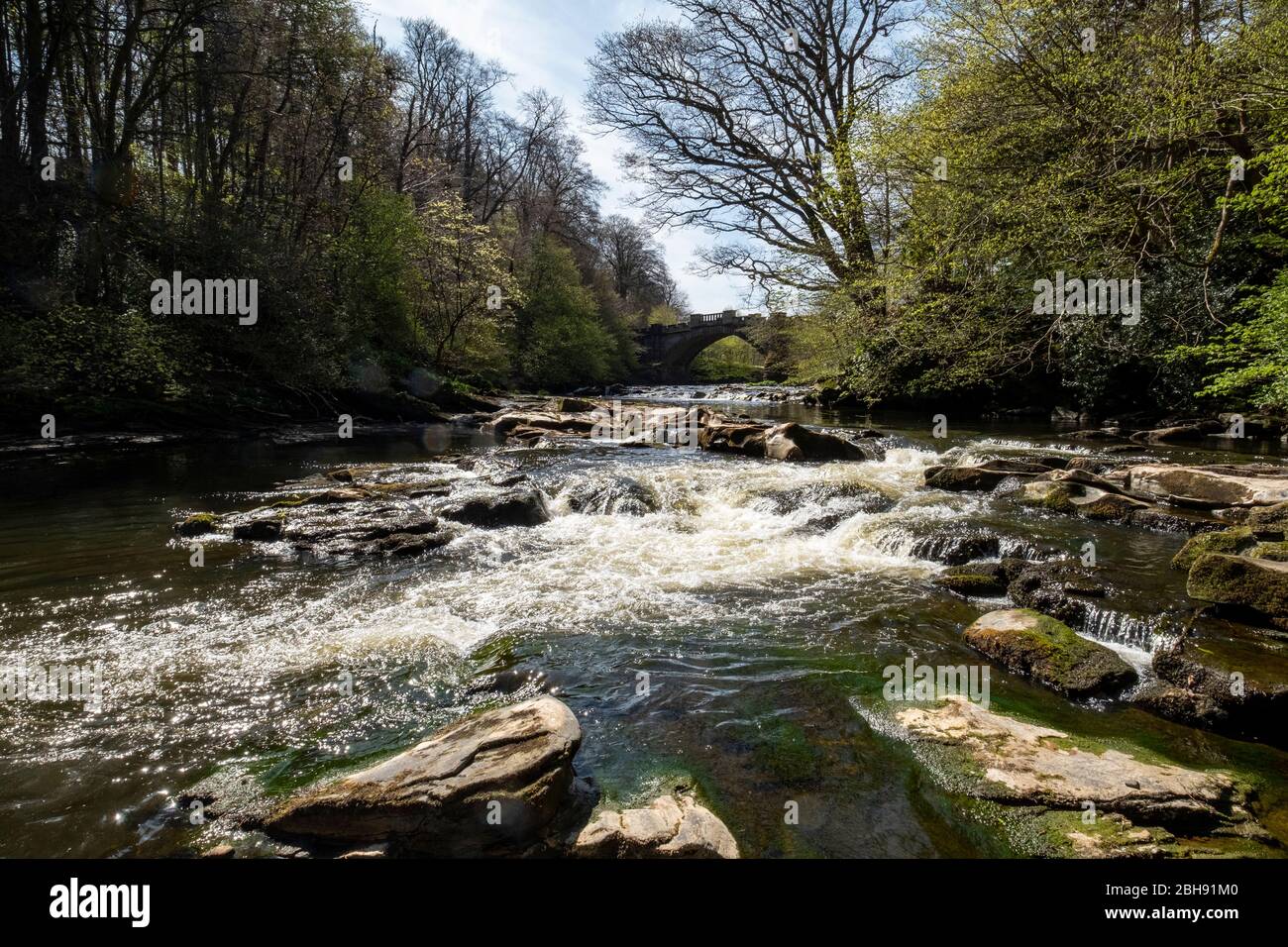 The River Almond and Naismith Bridge, Almondell Country Park, West Lothian, Scotland. Stock Photo