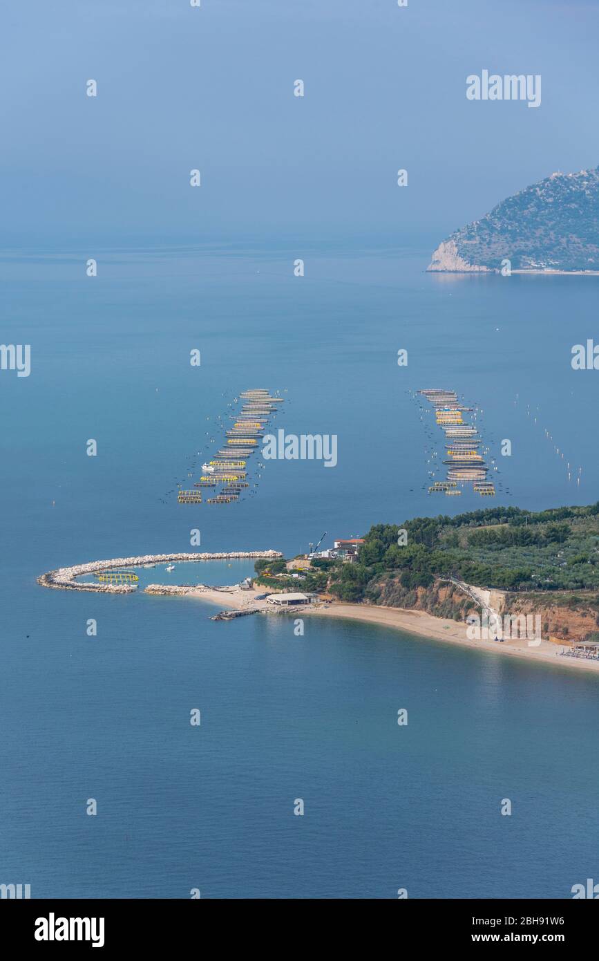 Italien, Mezzogiorno, Apulien / Puglia, Gargano, Provinz Foggia, Vieste, Blick auf Fischfarm, Fischzucht Stock Photo