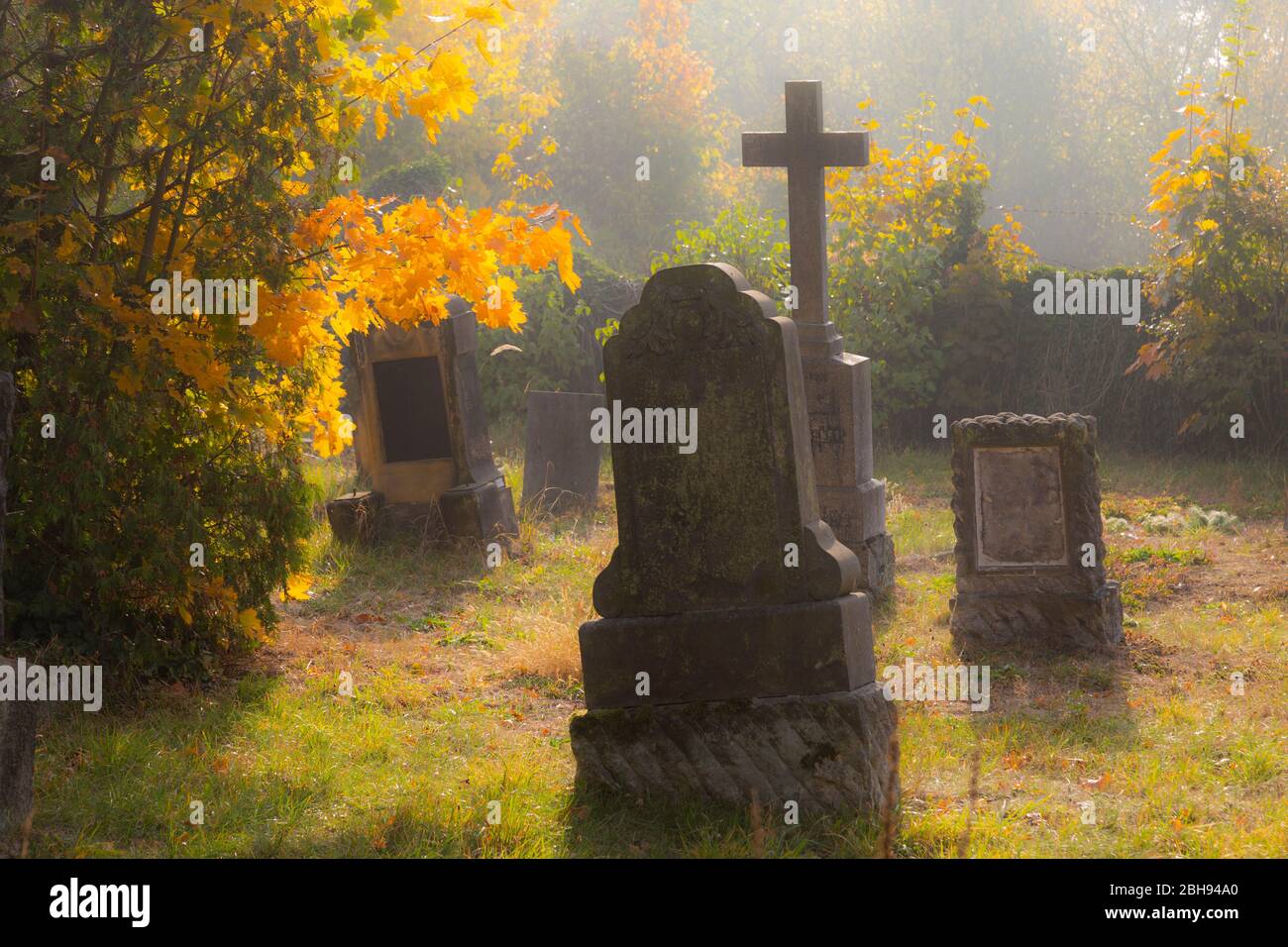 Europe, Poland, Opole Voivodeship, Pokoj / Bad Carlsruhe - cemetery Stock Photo