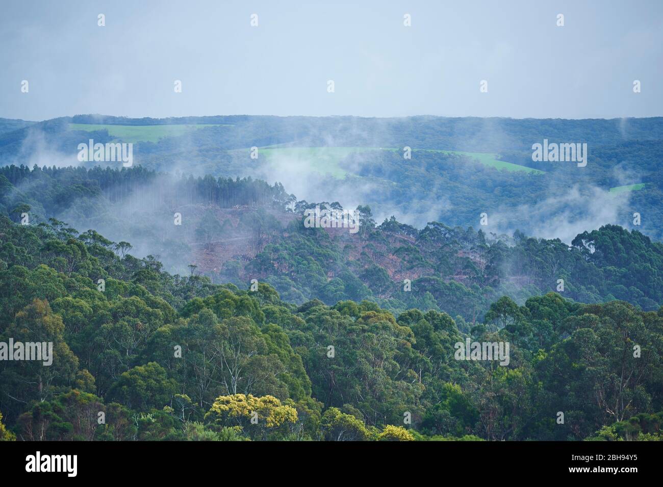 great otway national park victoria