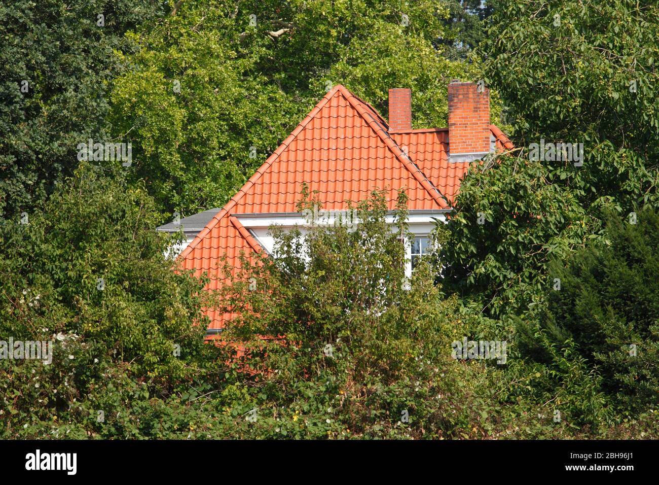 Modern detached house in summer, Oberneuland, Bremen, Deutschland