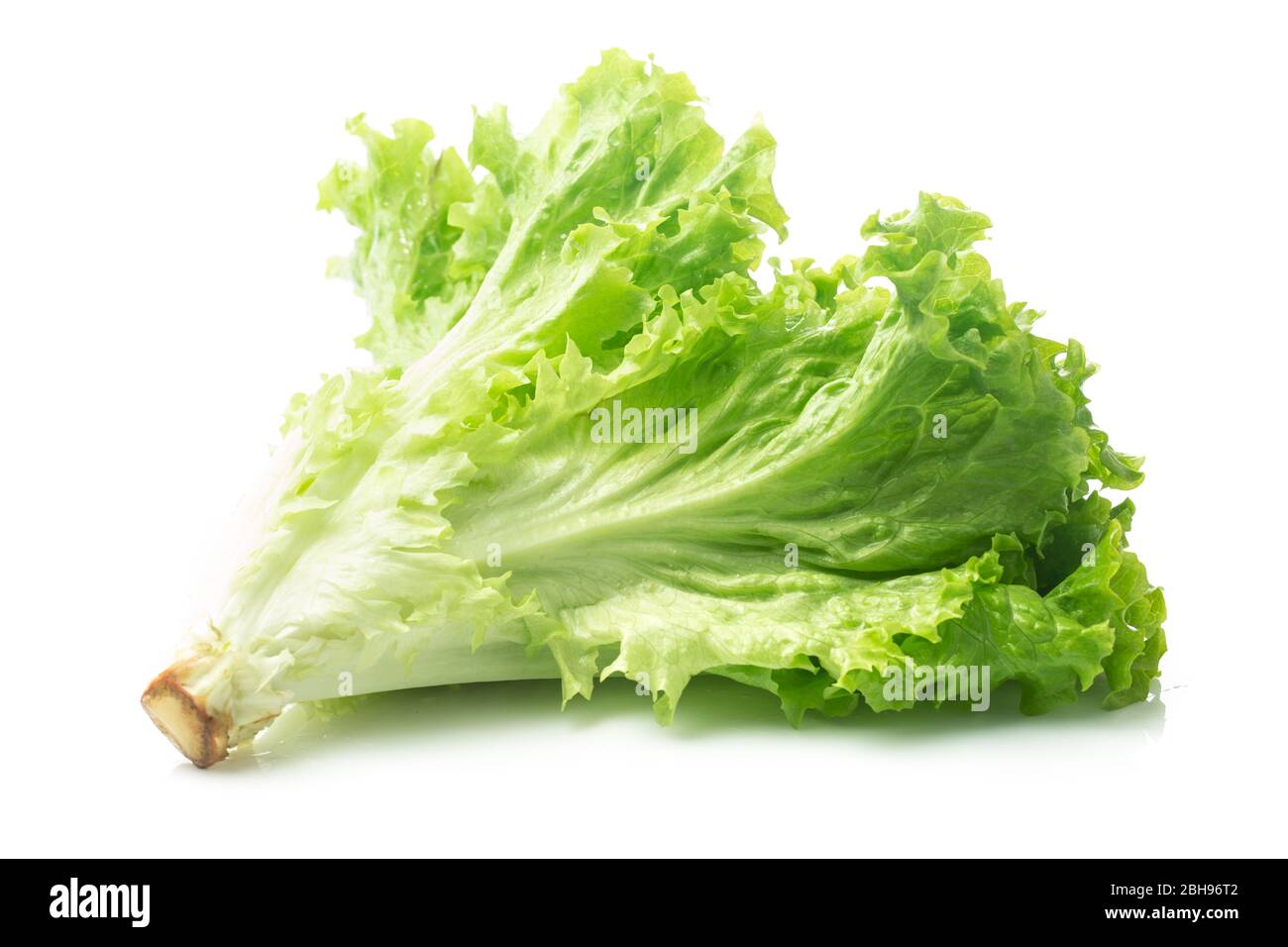 Salad leaf. Lettuce isolated on white background. Stock Photo