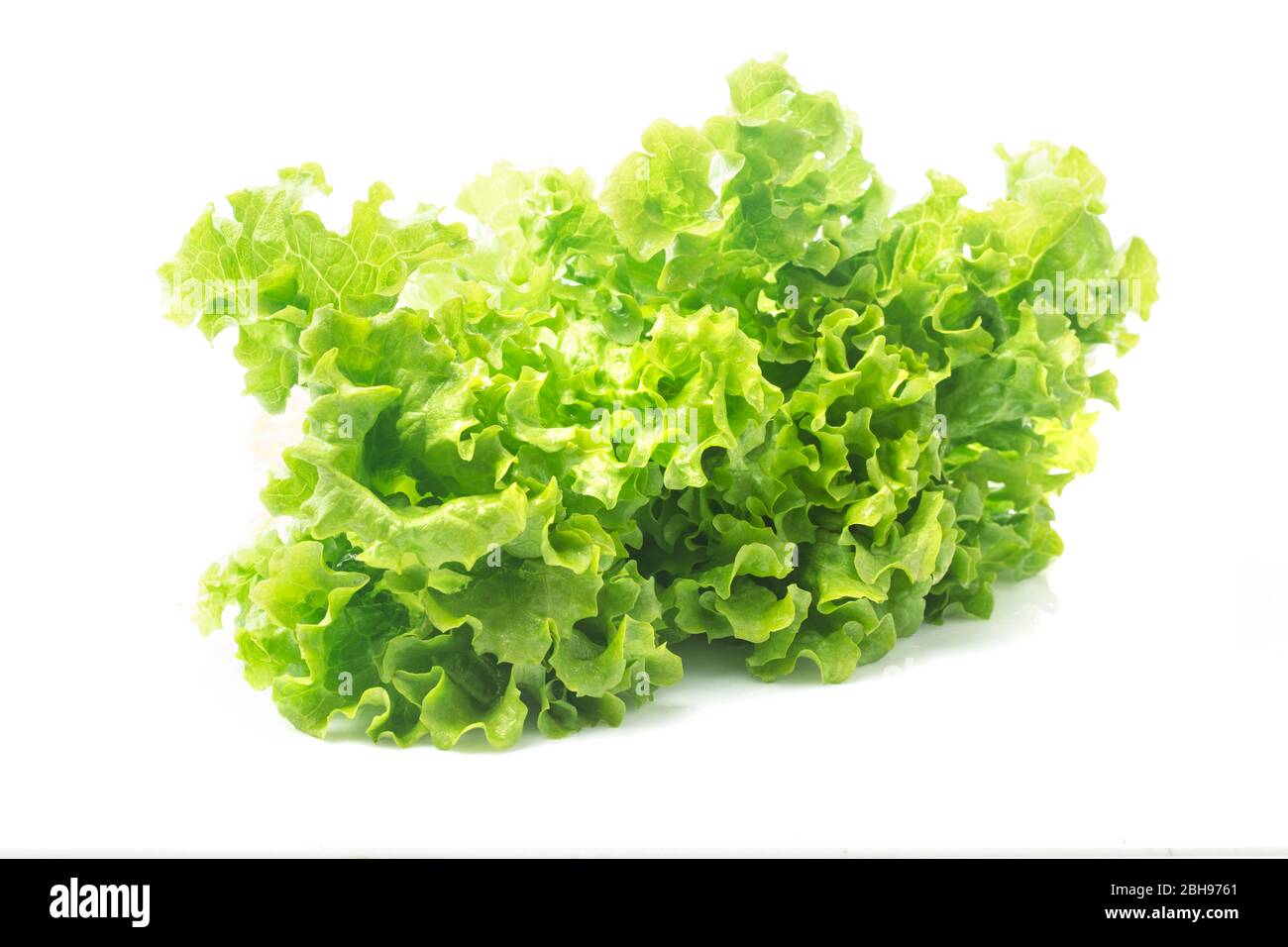 Salad leaf. Lettuce isolated on white background. Stock Photo