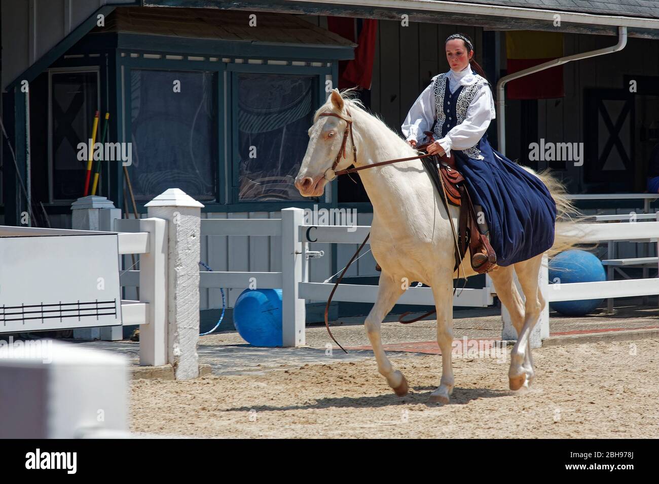 horse show, white equine, legs moving, rider in folk dress, navy, white