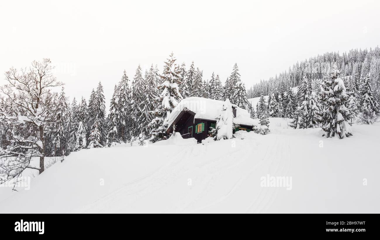 Winter landscape at Söll, Wilder Kaiser, Tirol, Austria Stock Photo