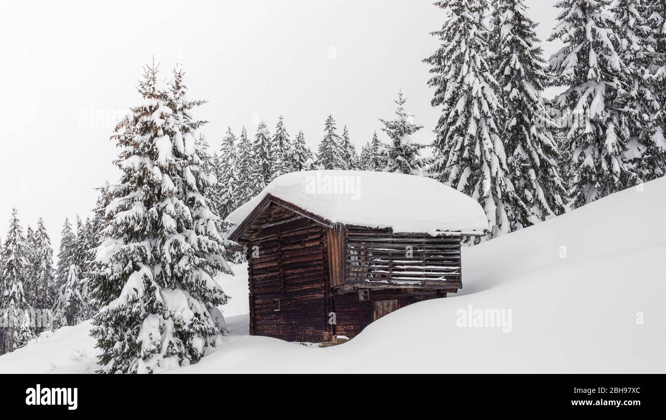 Winter landscape at Söll, Wilder Kaiser, Tirol, Austria Stock Photo