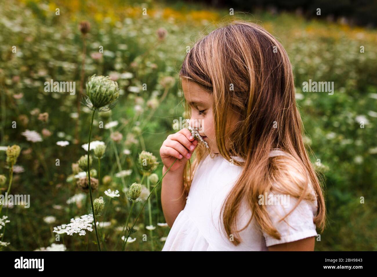 Girl Smelling Flowers in Field Stock Photo