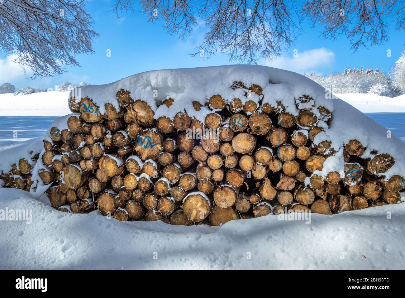 Stacked snow covered firewood in winter Stock Photo