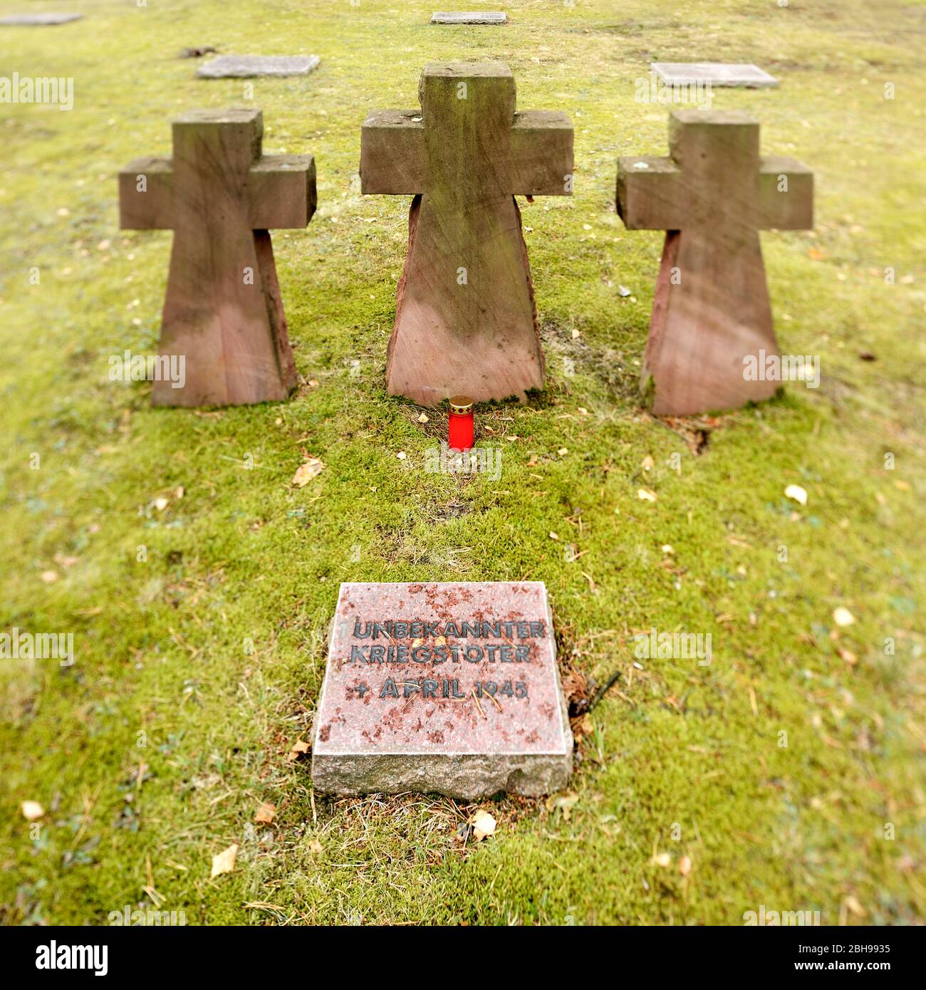 Waldfriedhof Halbe, military cemetery, one of the largest war graves sites in Germany for 28,000 victims of the Second World War, grave slabs and stone crosses, selective sharpness, Halbe, Brandenburg, Germany Stock Photo