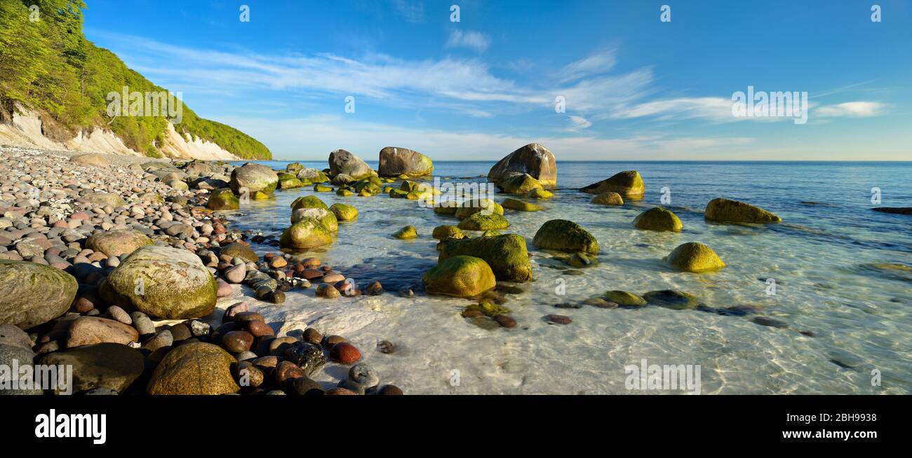 Germany, Mecklenburg-Western Pomerania, Rügen Island, Jasmund National Park, coastal landscape with chalk cliffs and large boulders on the shore Stock Photo