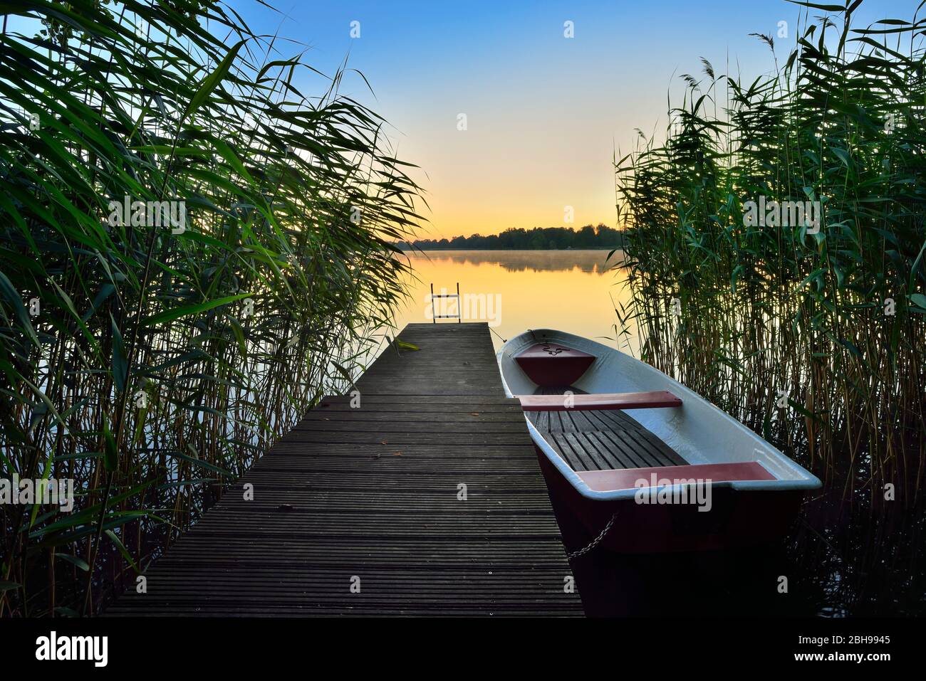 Jetty with rowing boat in the reeds, morning light, Lake Großer Müllroser See, Müllrose, Schlaubetal Nature Park, Brandenburg, Germany Stock Photo
