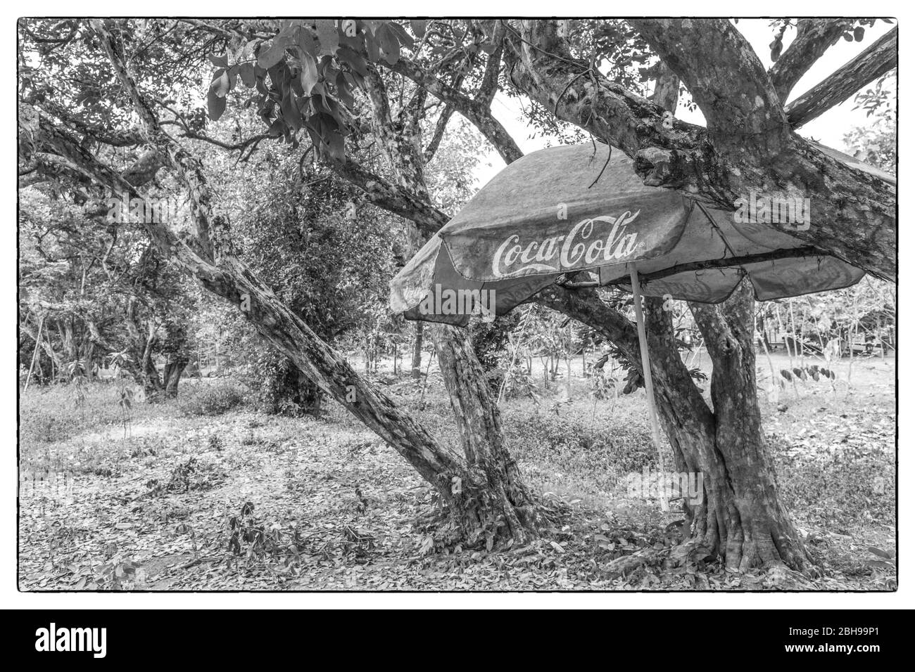 Cambodia, Phnom Penh, The Killing Fields of Choeung Ek, old Coca Cola umbrella in former Khmer Rouge prison camp Stock Photo