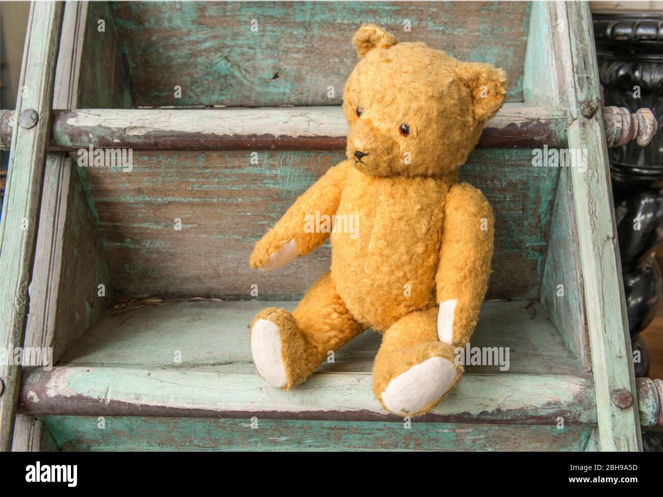 Teddy, stuffed bear, old, sitting, toy, wooden stairs, Stock Photo