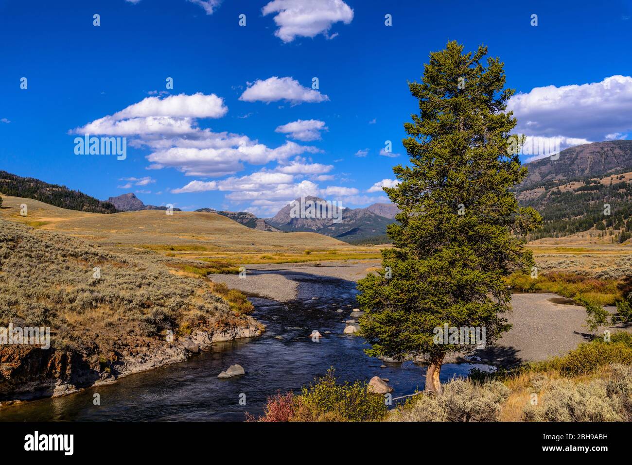 USA Wyoming Yellowstone National Park Tower Roosevelt Lamar Valley 