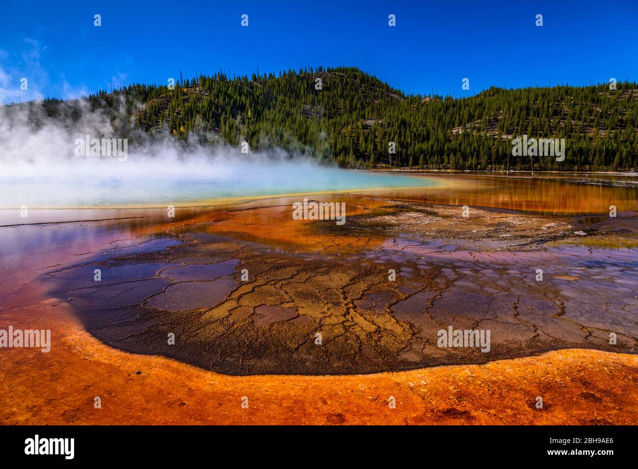 USA, Wyoming, Yellowstone National Park, Midway Geyser Basin, Grand Prismatic Spring Stock Photo