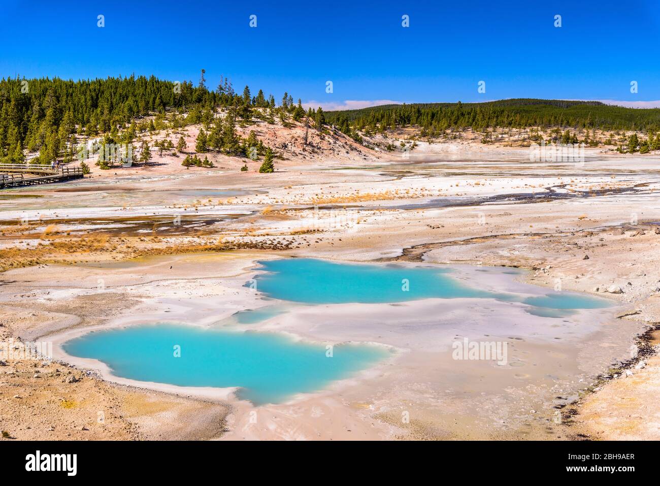 Usa Wyoming Yellowstone National Park Norris Geyser Basin Porcelain Basin Colloidal Pool Stock Photo Alamy