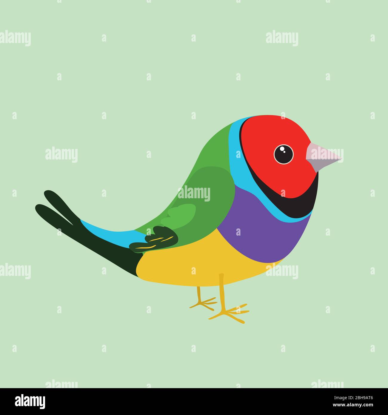 An illustration of a cute gouldian finch on a soft green background. It's a male bird. Stock Vector