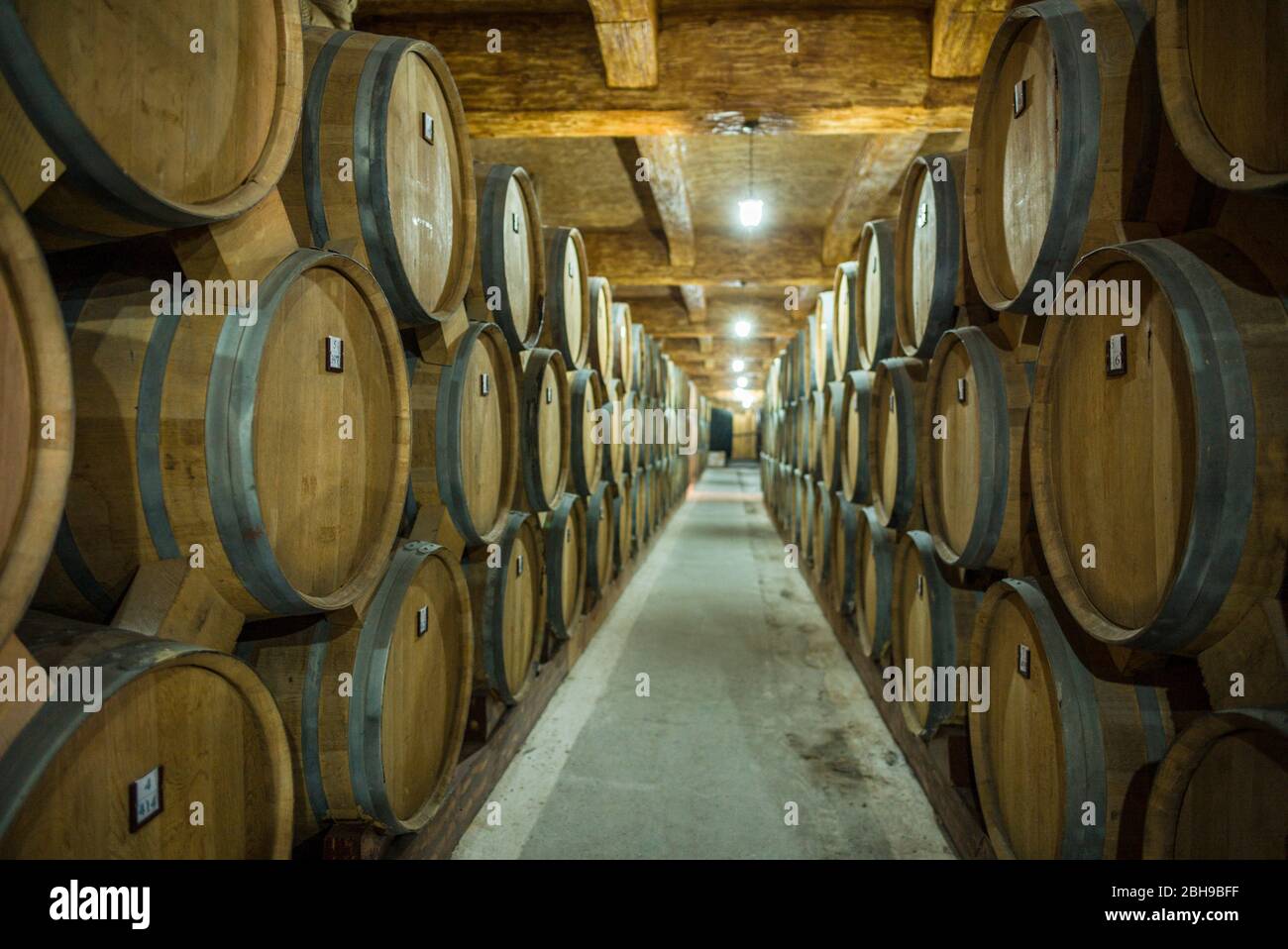 Armenia, Yerevan, Yerevan Noy Brandy Company, Brandy distillers since the 19th century, casks of brandy, ER Stock Photo