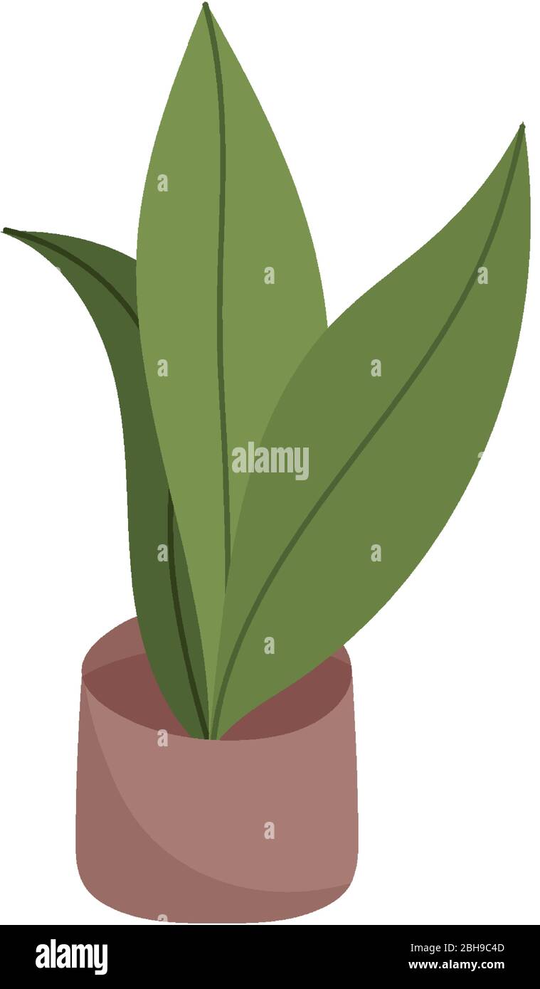 potted plant decoration isolated icon on white background vector ...