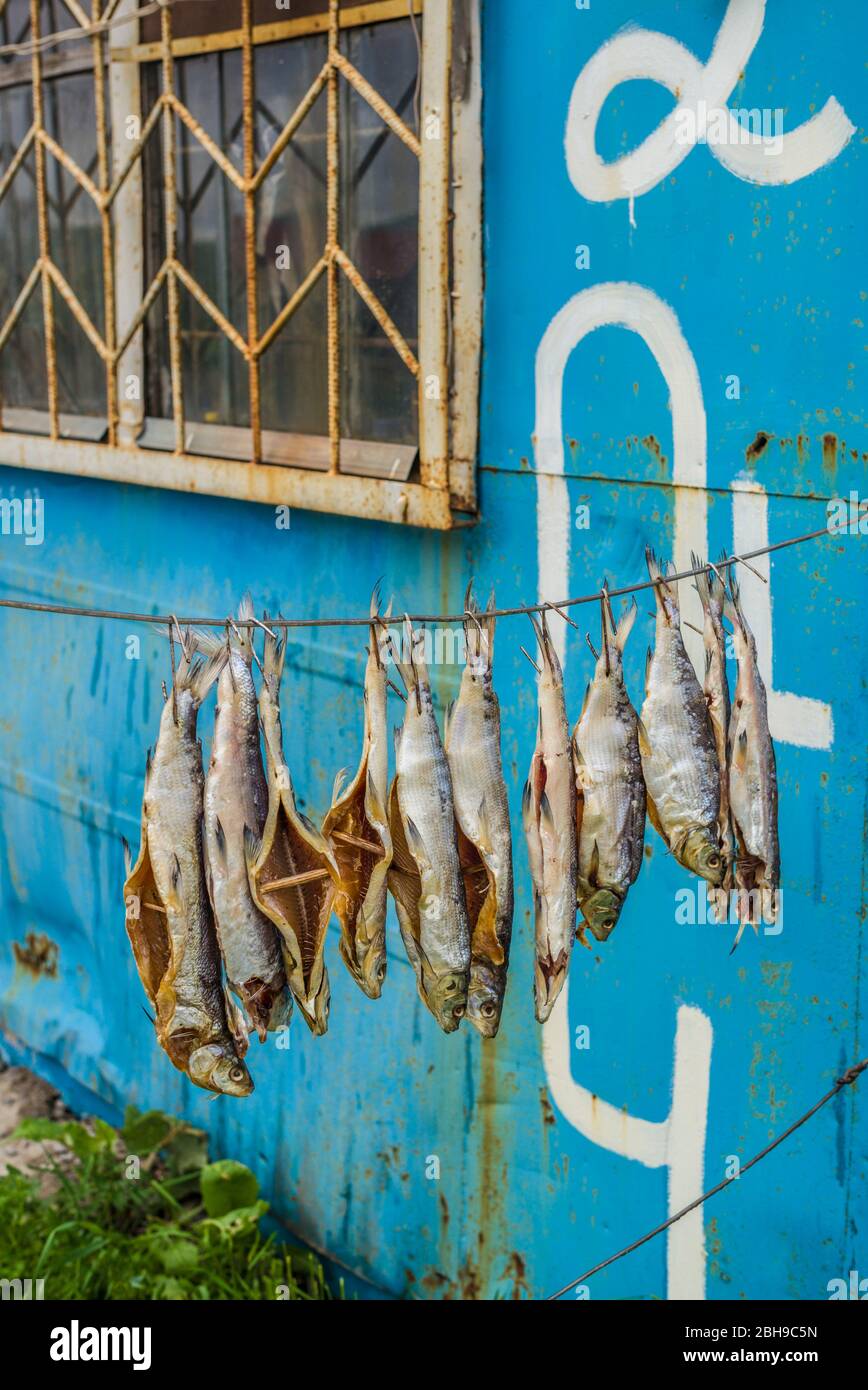 Armenia, Lake Sevan, Sevan, fish shacks selling smoked fish Stock Photo
