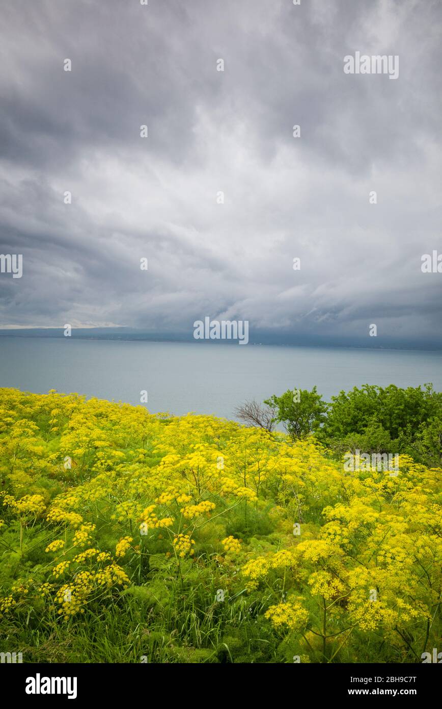 Armenia, Lake Sevan, Sevan, high angle view of Lake Sevan from Sevanavank Peninsula, summer Stock Photo