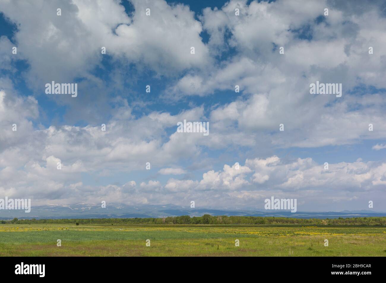 Armenia, Lake Sevan, Martuni, field, springtime Stock Photo