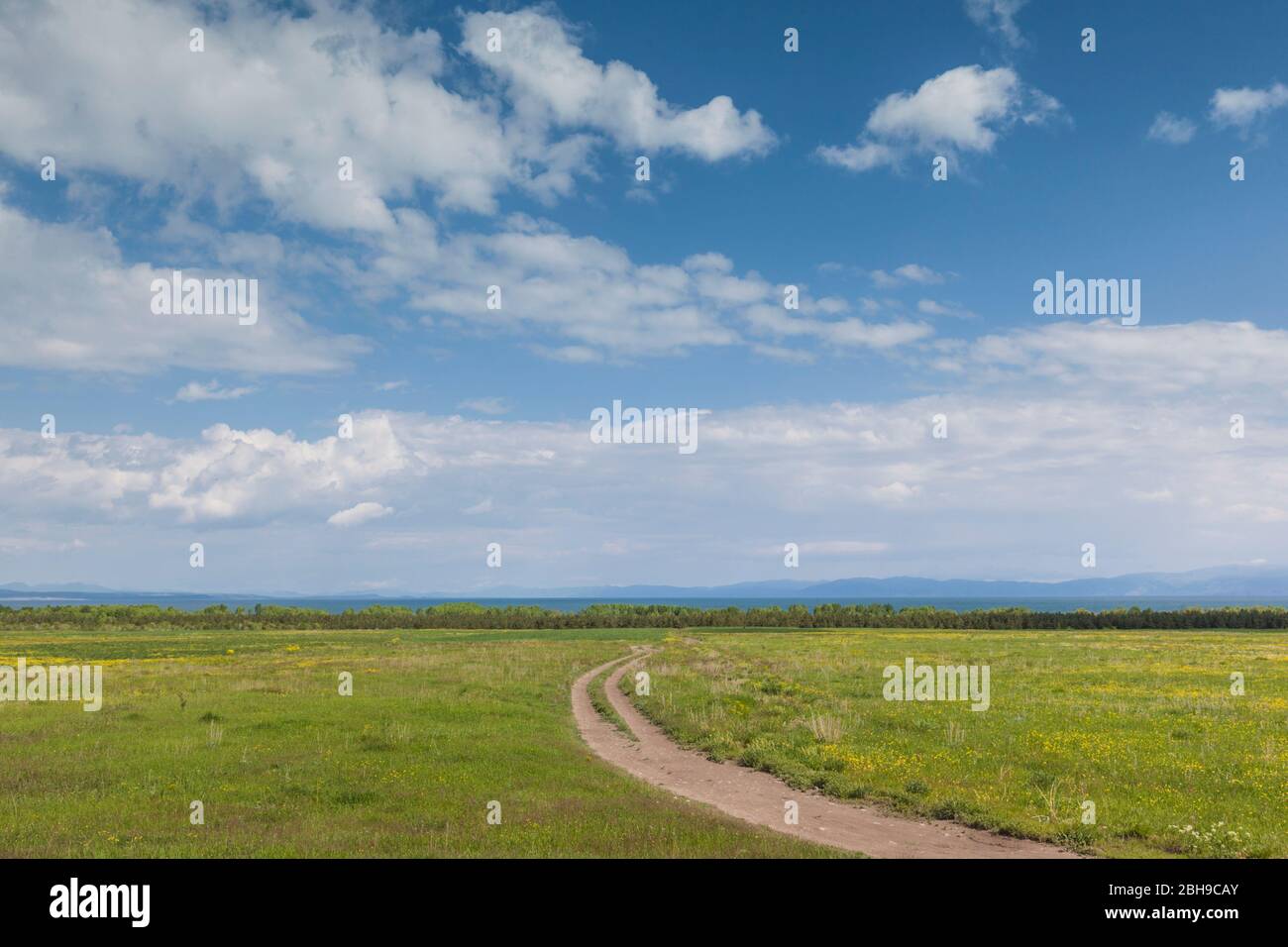 Armenia, Lake Sevan, Martuni, field, springtime Stock Photo