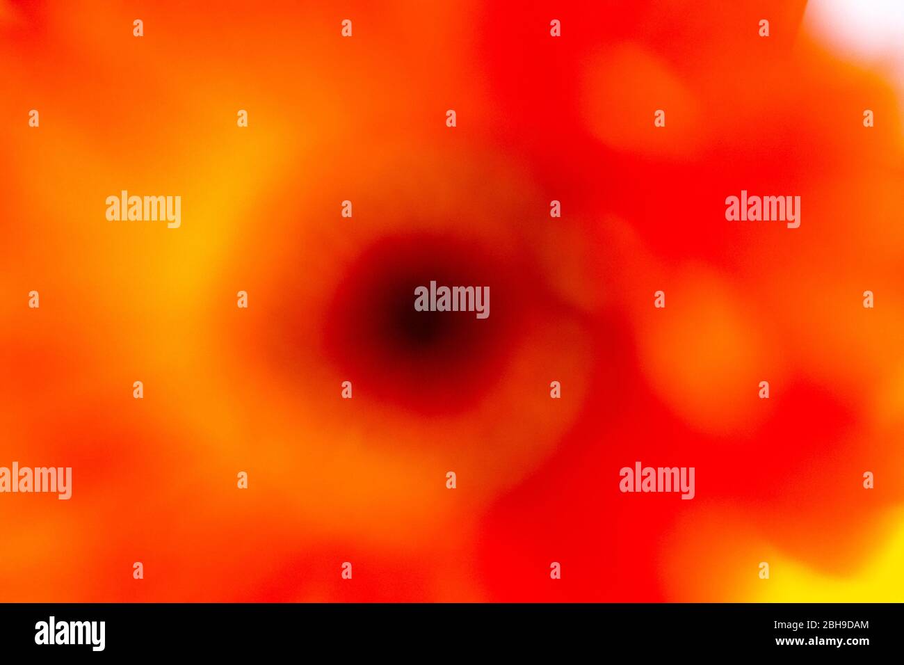 An abstract shot of flowers showing bright and vibrant colours Stock Photo