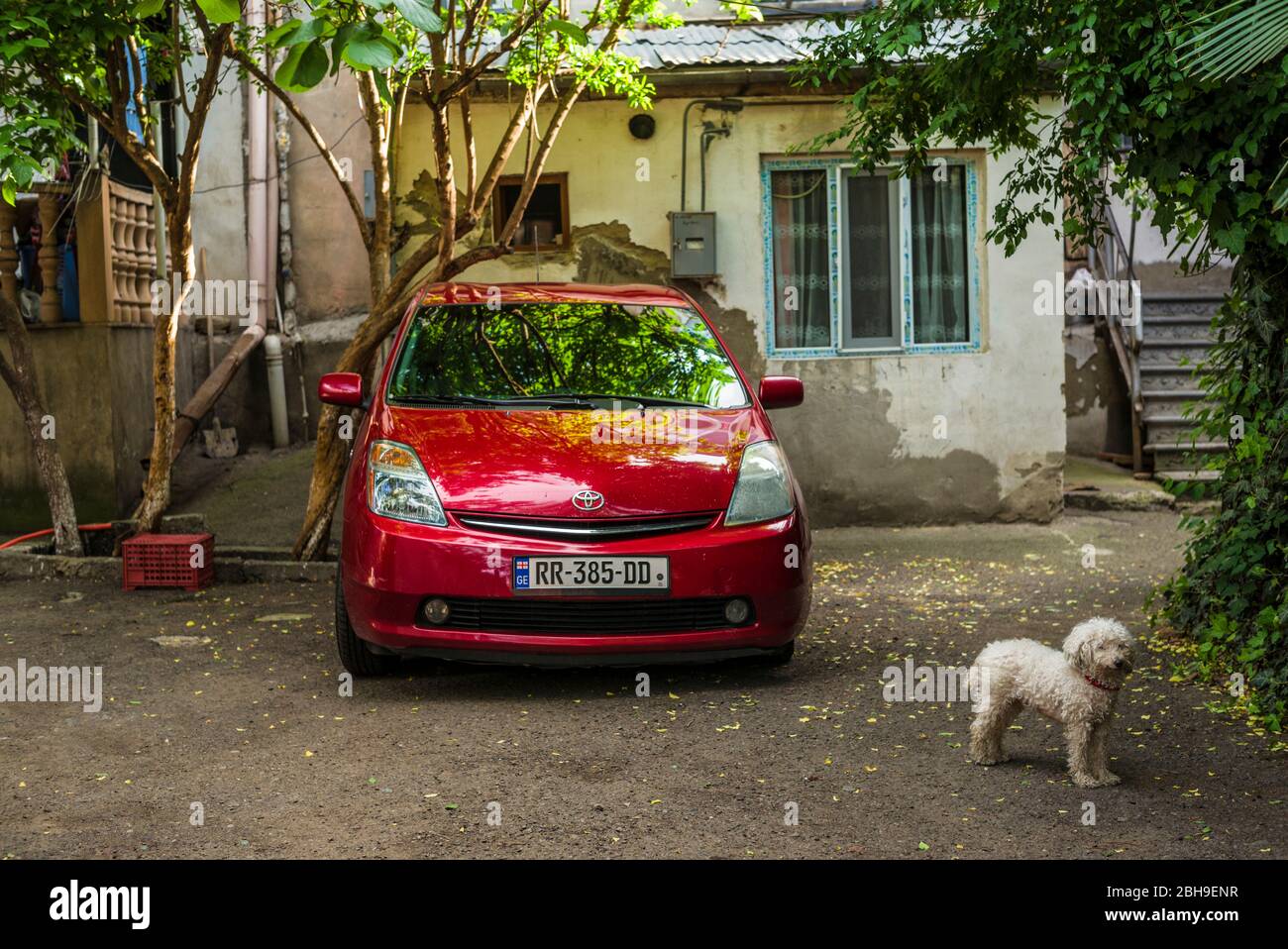 Georgia, Tbilisi, Old Town, courtyard with Prius car and dog Stock Photo