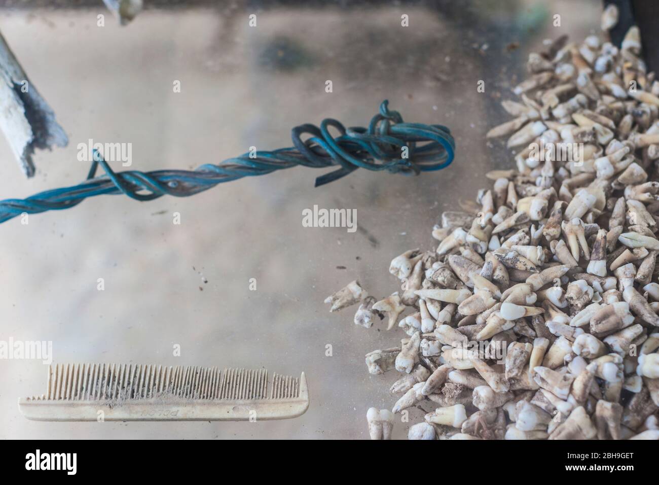 Cambodia, Phnom Penh, The Killing Fields of Choeung Ek, human teeth recovered from mass grave in former Khmer Rouge prison camp Stock Photo