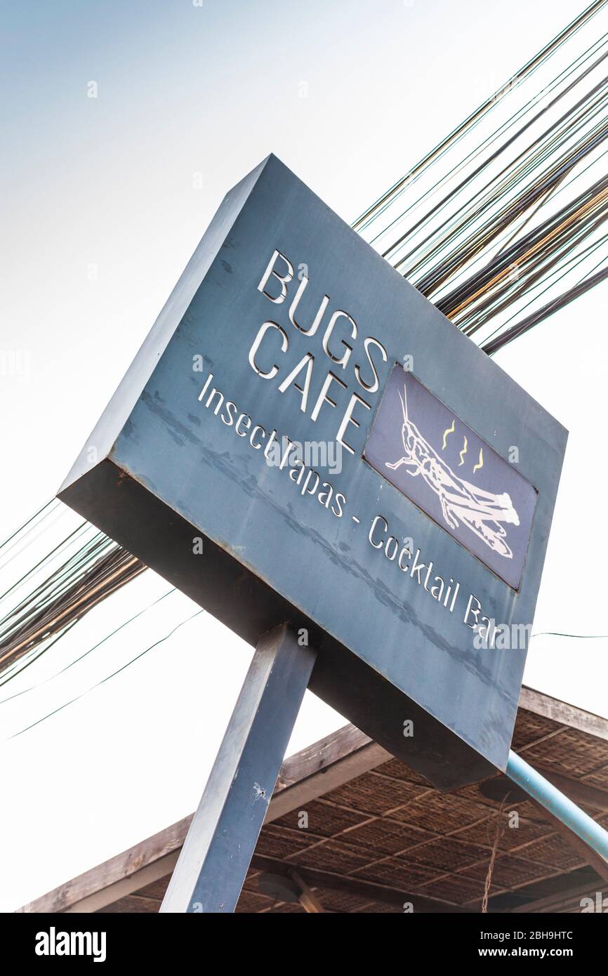 Cooked insects hires stock photography and images Alamy