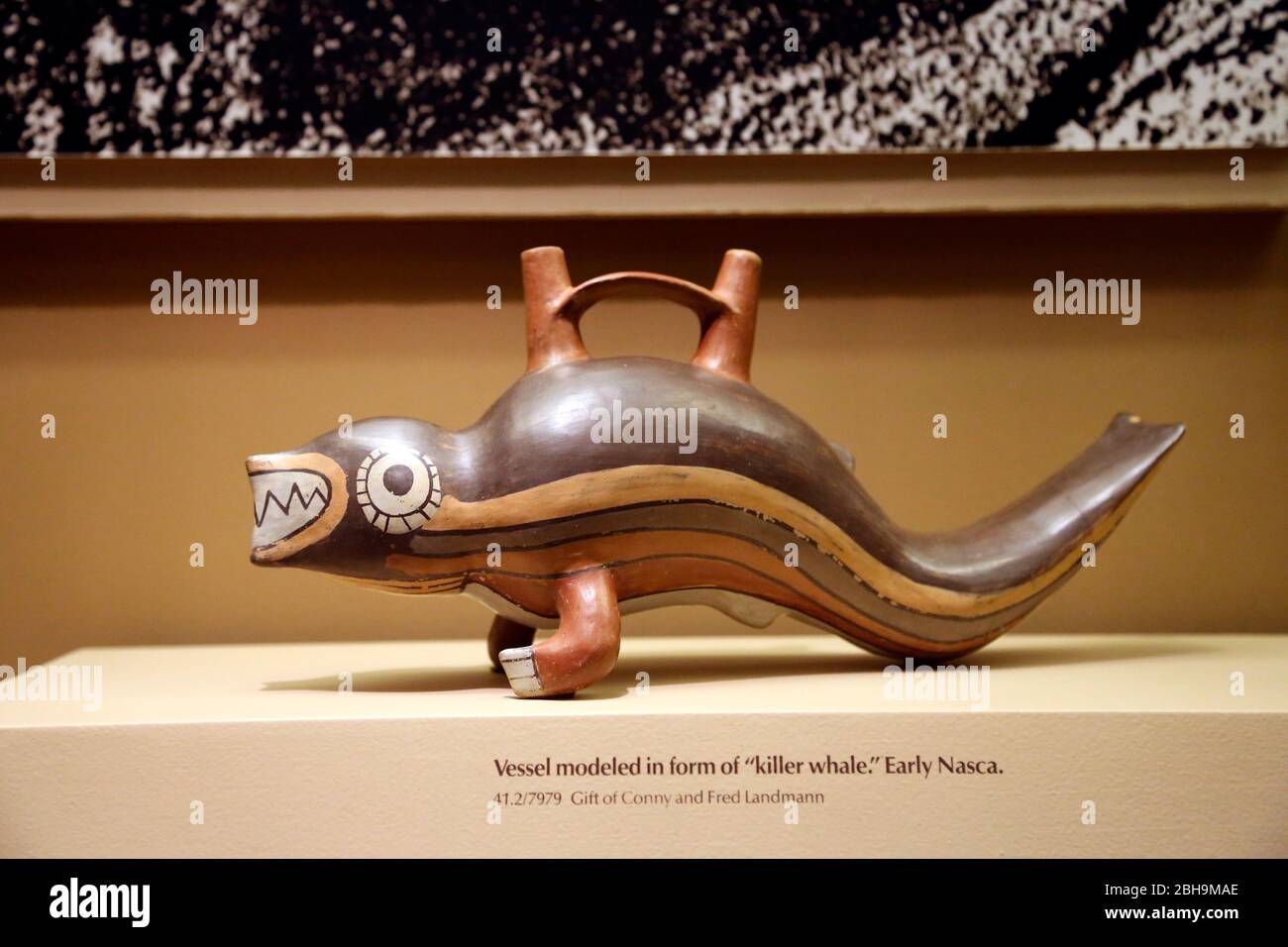Pre-Columbian era. Vessel modeled in from of 'killer whale'. Early Nasca. 200AD-600AD. Stock Photo