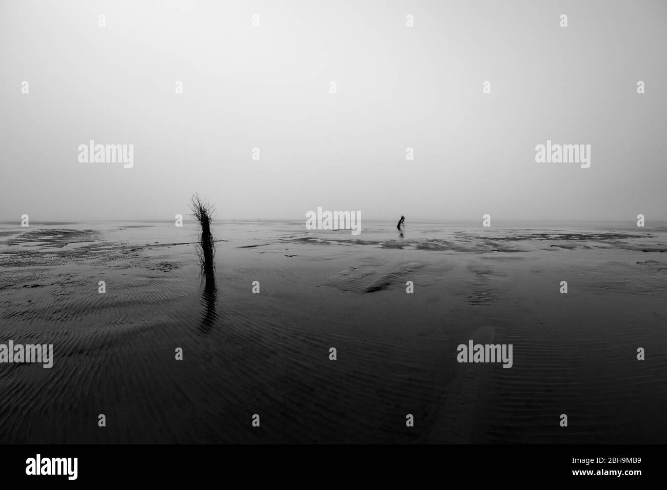 The sea floor at low tide in the north sea on a foggy day Stock Photo