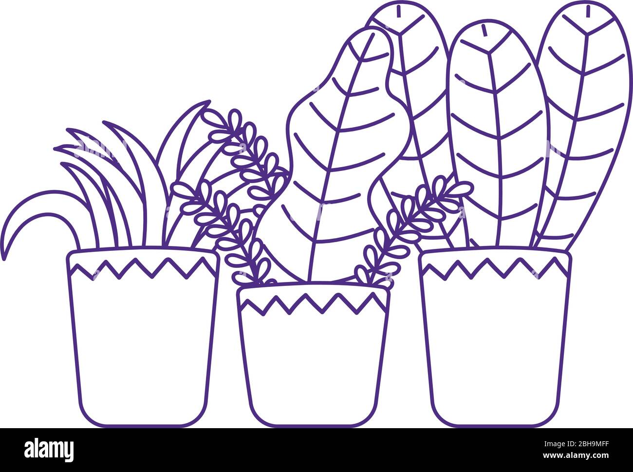 potted plants decoration gardening isolated icon white background ...