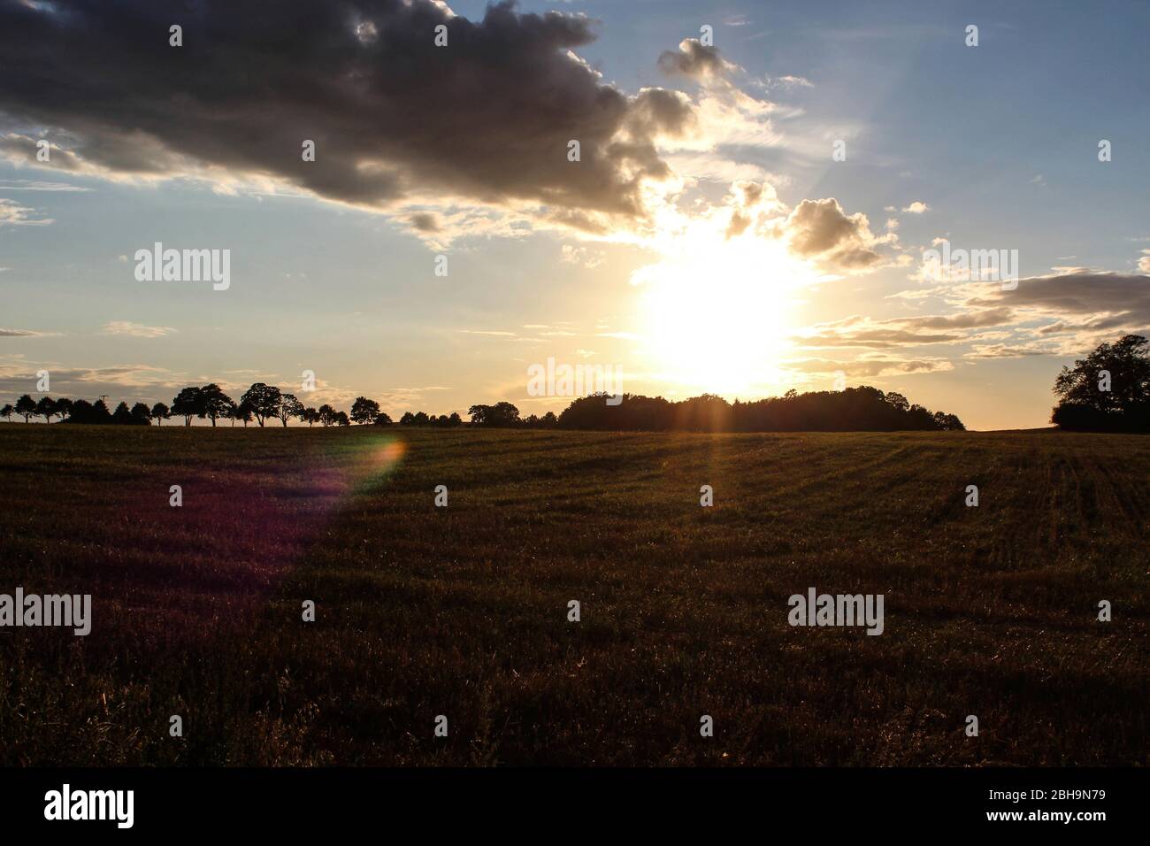 Backlight field hi-res stock photography and images - Alamy