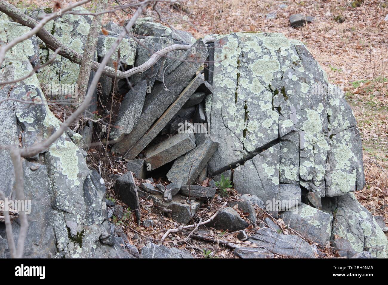Slate crumbling in the woods Stock Photo